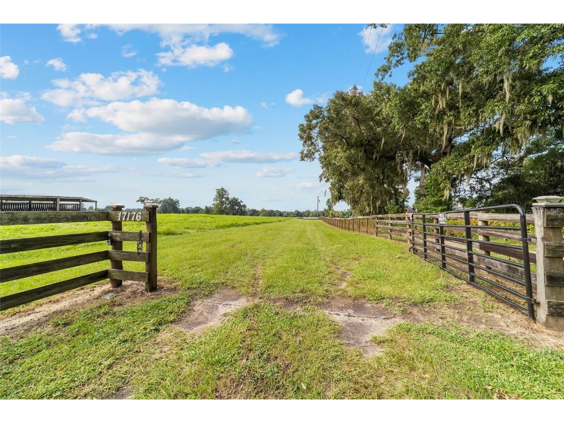 17176 N Us Highway 441 Reddick FL 32686 OM713643 image18
