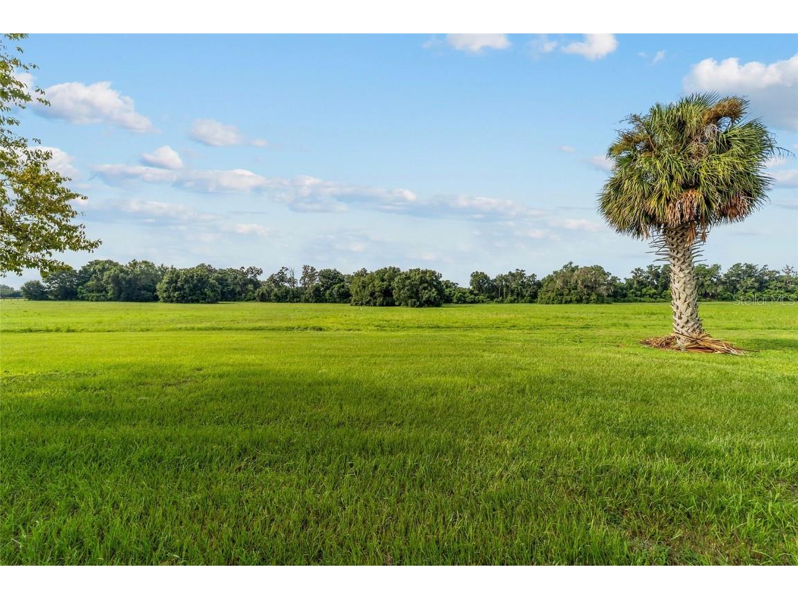 17176 N Us Highway 441 Reddick FL 32686 OM713643 image19