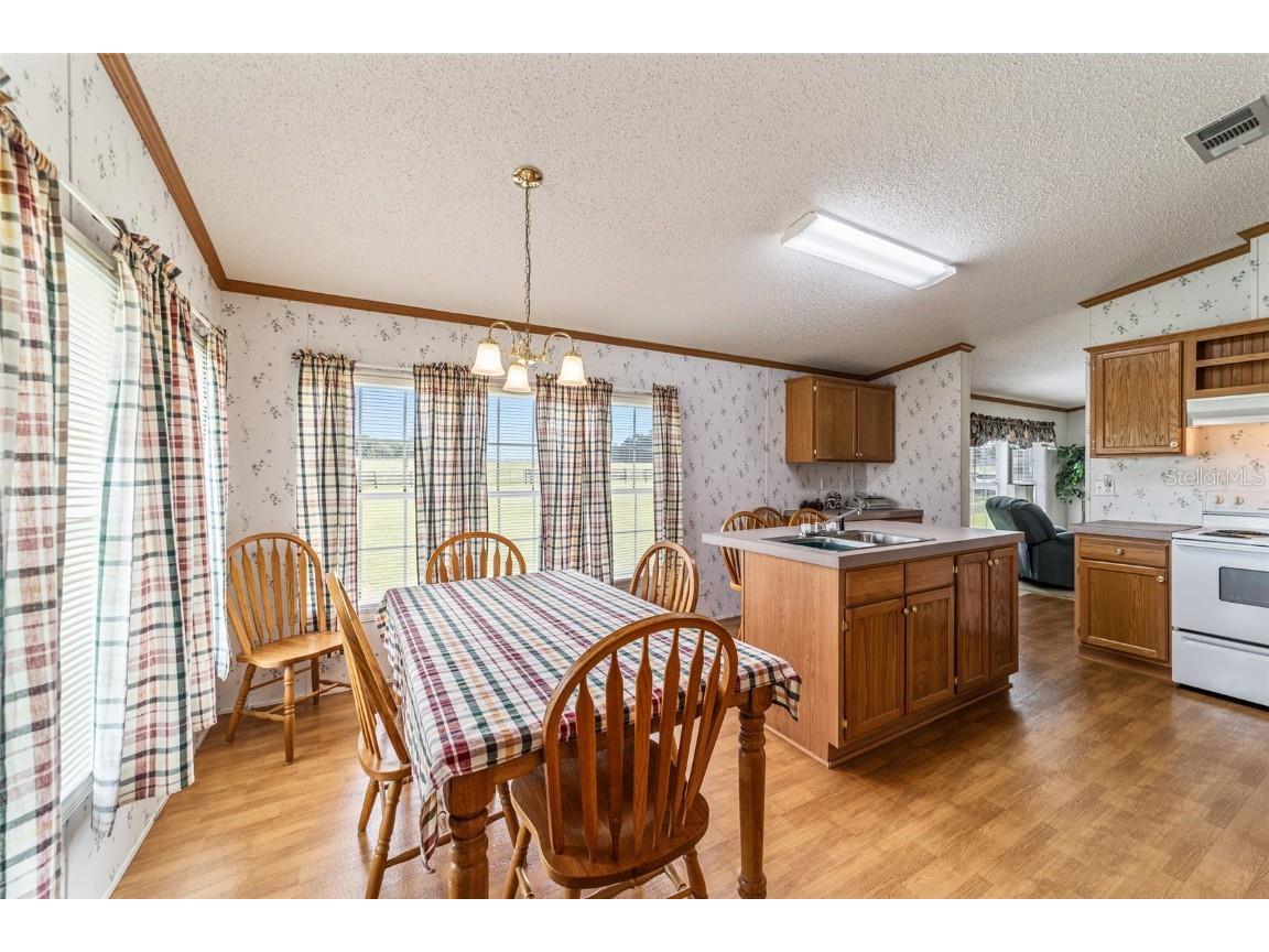 17176 N Us Highway 441 Reddick FL 32686 OM713643 image21