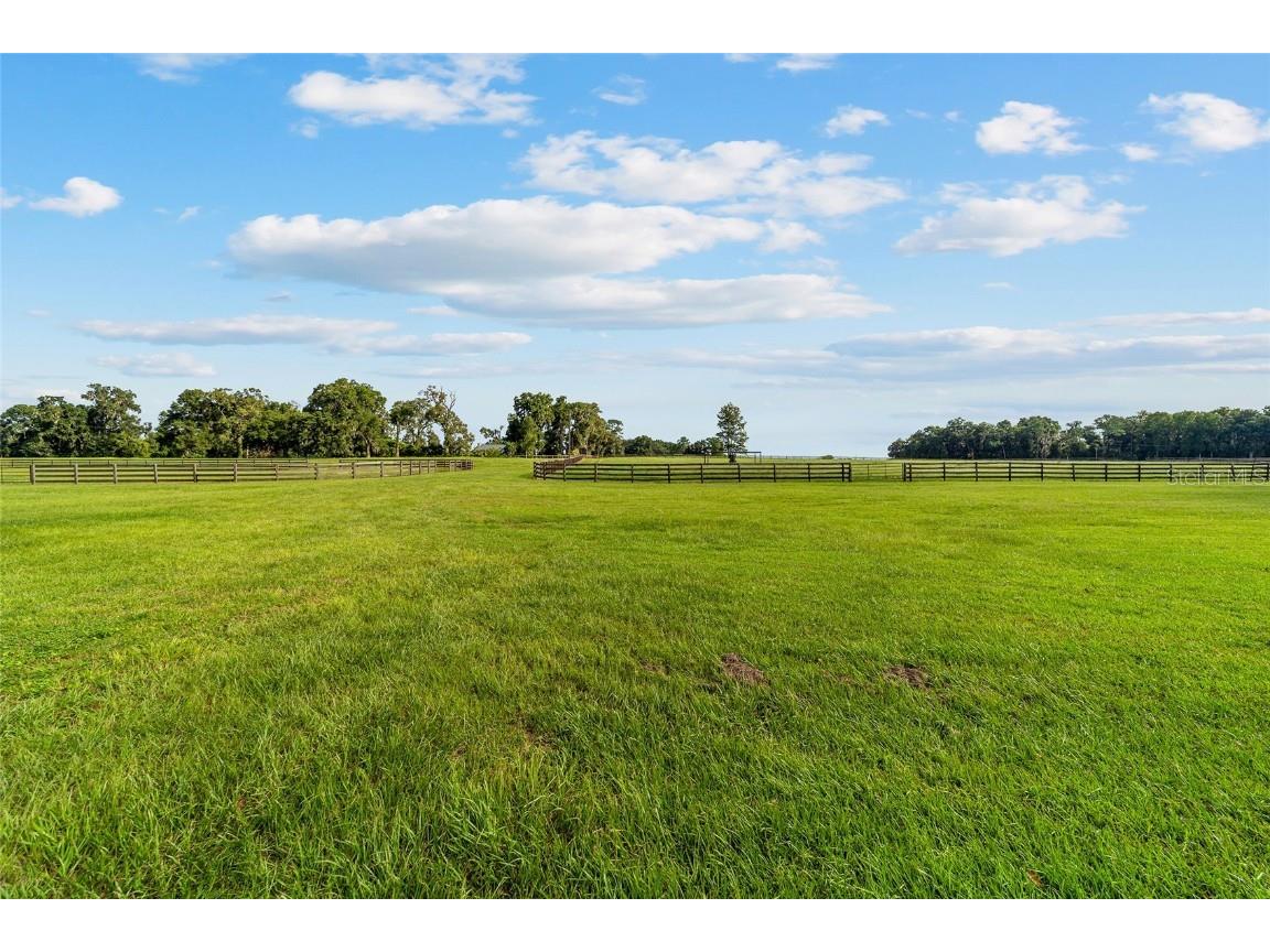 17176 N Us Highway 441 Reddick FL 32686 OM713643 image42