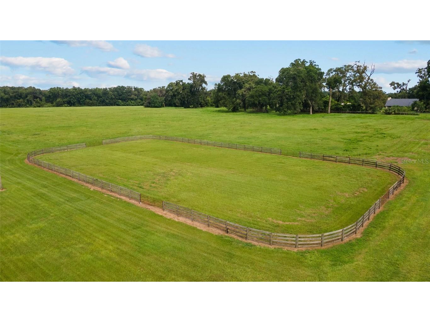 17176 N Us Highway 441 Reddick FL 32686 OM713643 image6