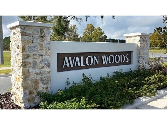 17176 NW 180th Terrace Alachua FL 32615 OM719951 image13
