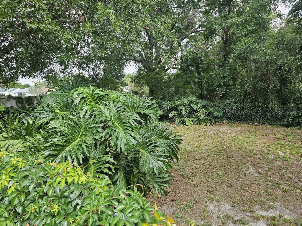 17178 SE 95th Court Summerfield FL 34491 OM704040 image41