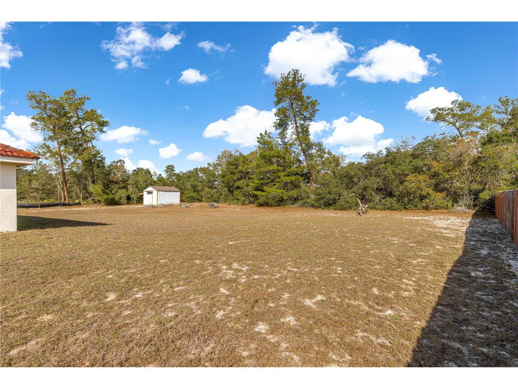 17179 SW 41st Circle Ocala FL 34473 OM716240 image4