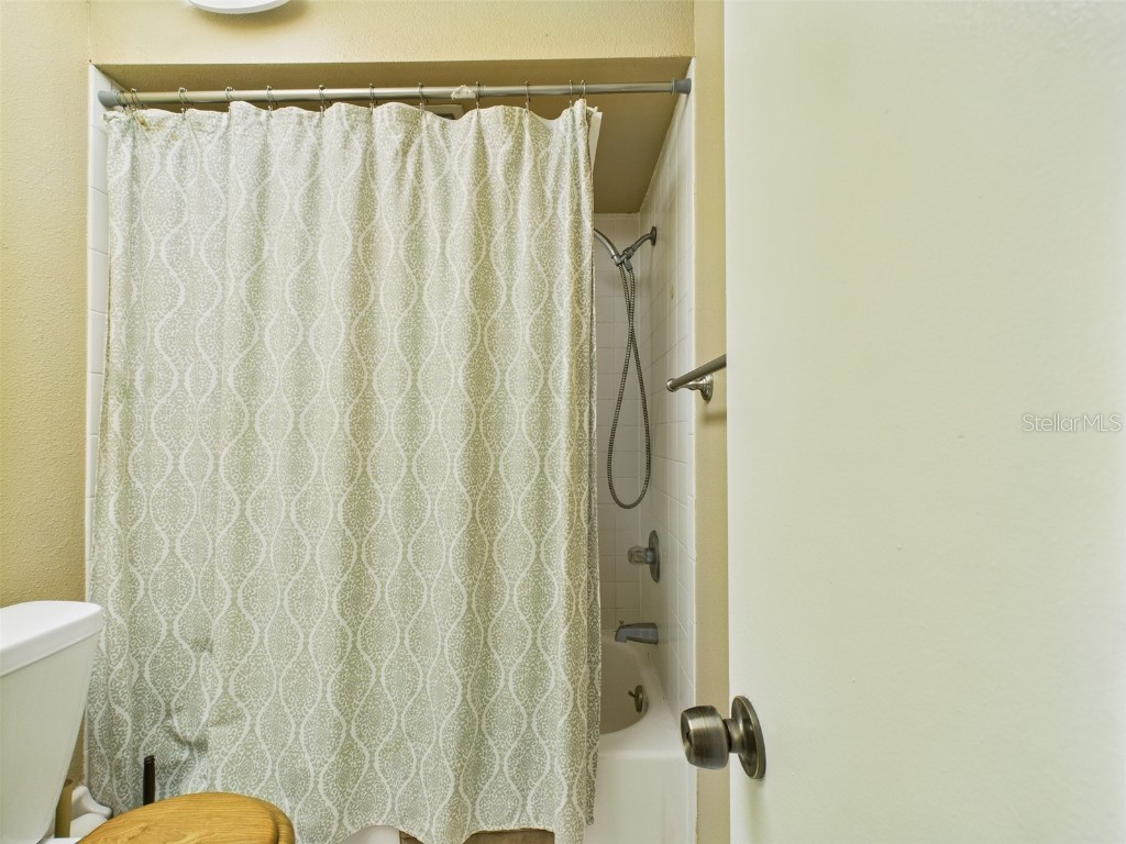 1718 Azalea Court #B Oldsmar FL 34677 P4935316 image44