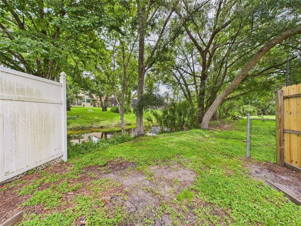 1718 Azalea Court #B Oldsmar FL 34677 P4935316 image49