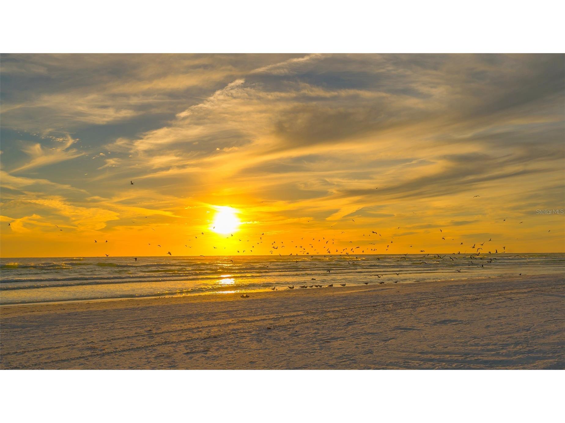 1718 Caribbean Drive Sarasota FL 34231 A4643493 image65