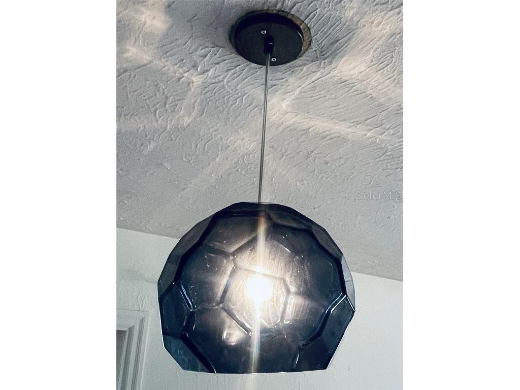 1718 Christy Avenue Orlando FL 32803 O6359881 image36