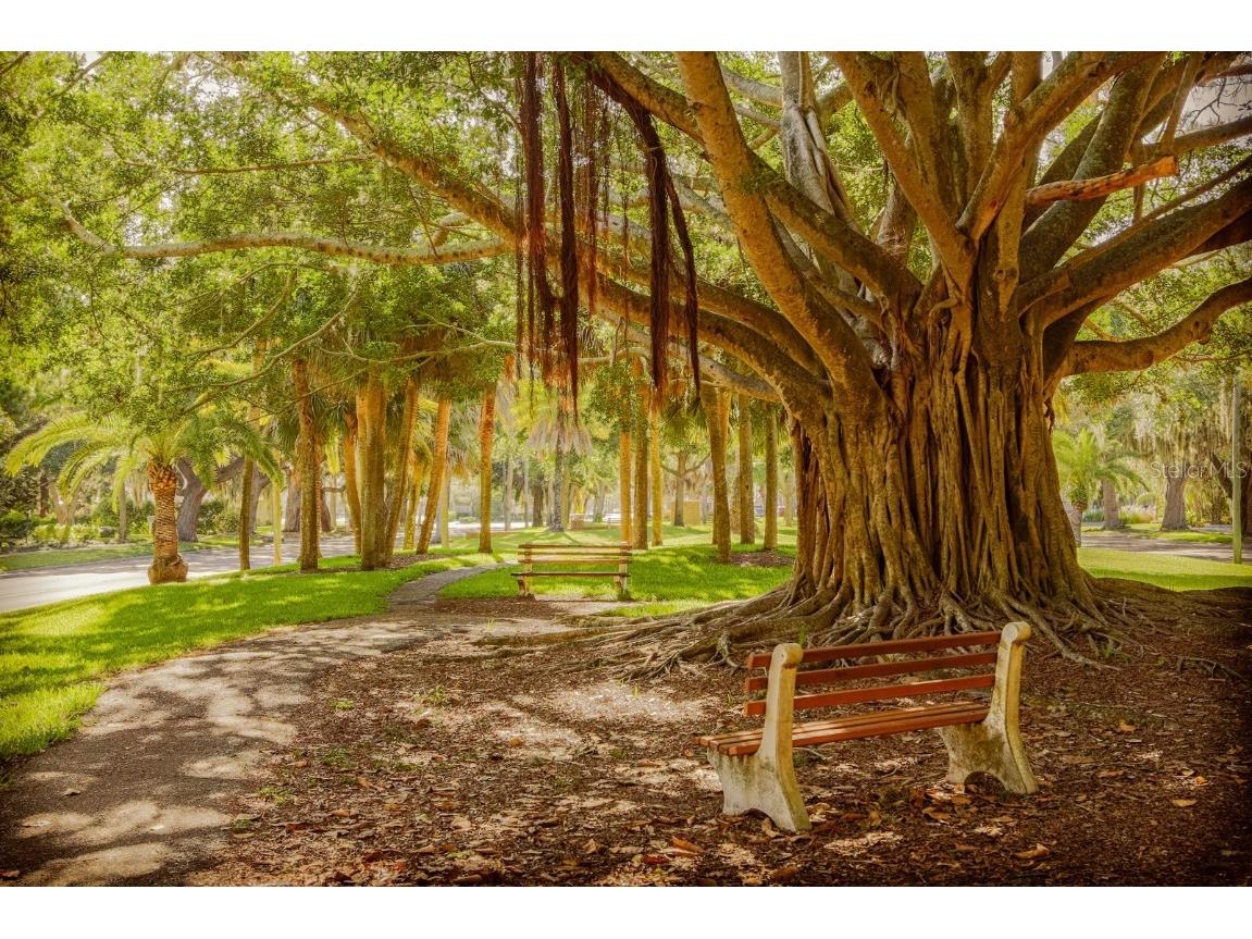 1718 Lakeside Drive #1714-D Venice FL 34293 N6141537 image31