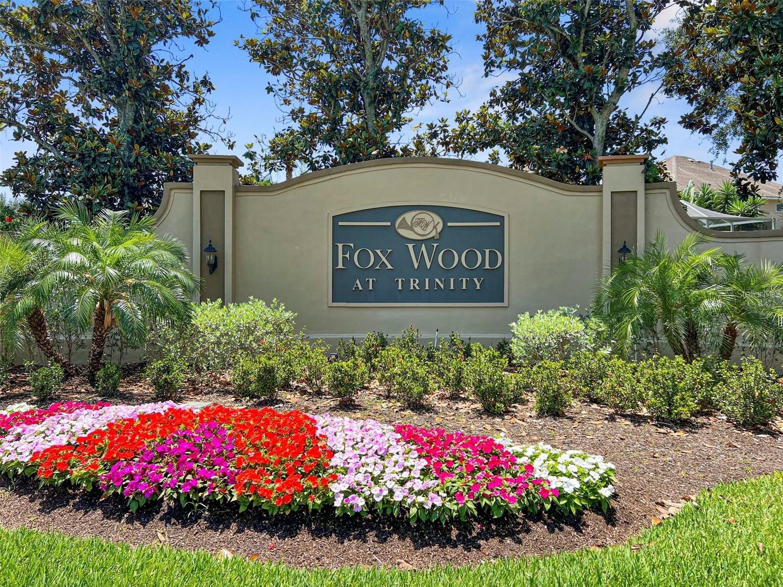 1718 Roseroot Court Trinity FL 34655 W7886379 image49