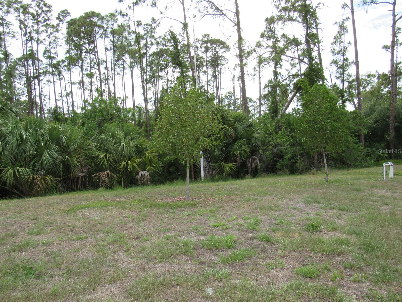 1719 Hainsworth Court North Port FL 34288 C7526202 image22
