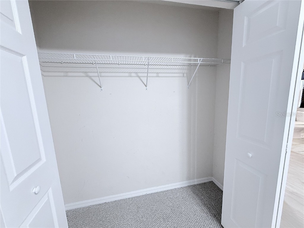 1719 Hammocks Avenue Lutz FL 33549 TB8438494 image20