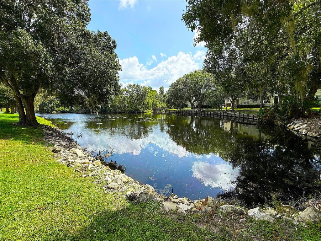 1719 Hammocks Avenue Lutz FL 33549 TB8438494 image24