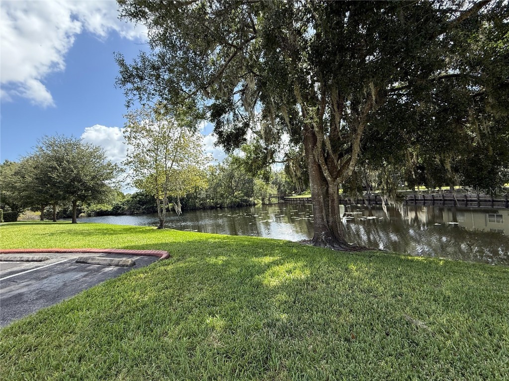 1719 Hammocks Avenue Lutz FL 33549 TB8438494 image25