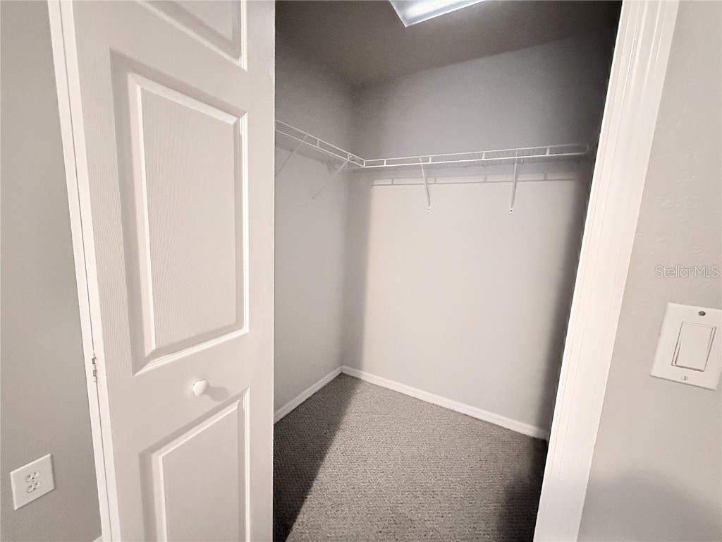 1719 Hammocks Avenue Lutz FL 33549 TB8438494 image8