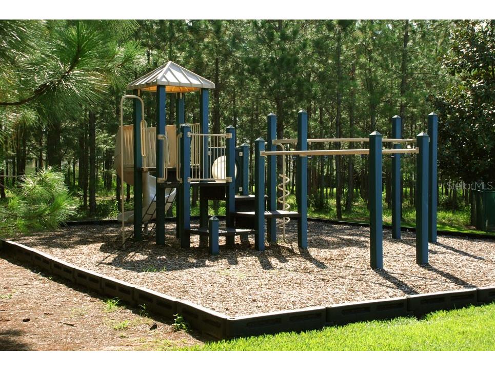 1719 N Hampton Drive Davenport FL 33897 O6335809 image34