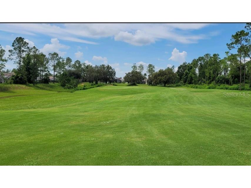 1719 N Hampton Drive Davenport FL 33897 O6335809 image35