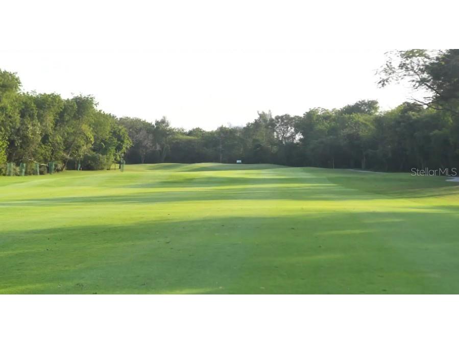 1719 N Hampton Drive Davenport FL 33897 O6335809 image36