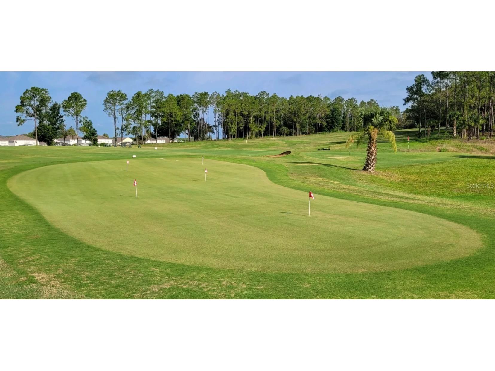 1719 N Hampton Drive Davenport FL 33897 O6335809 image37