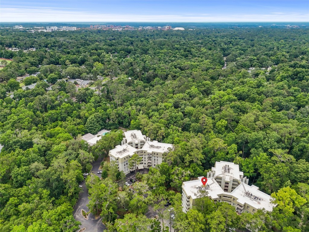 1719 NW 23rd Avenue #3E Gainesville FL 32605 GC531398 image49