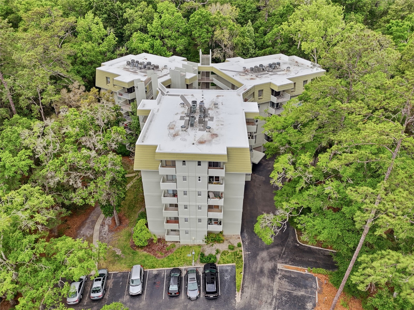 1719 NW 23rd Avenue #3E Gainesville FL 32605 GC539869 image26