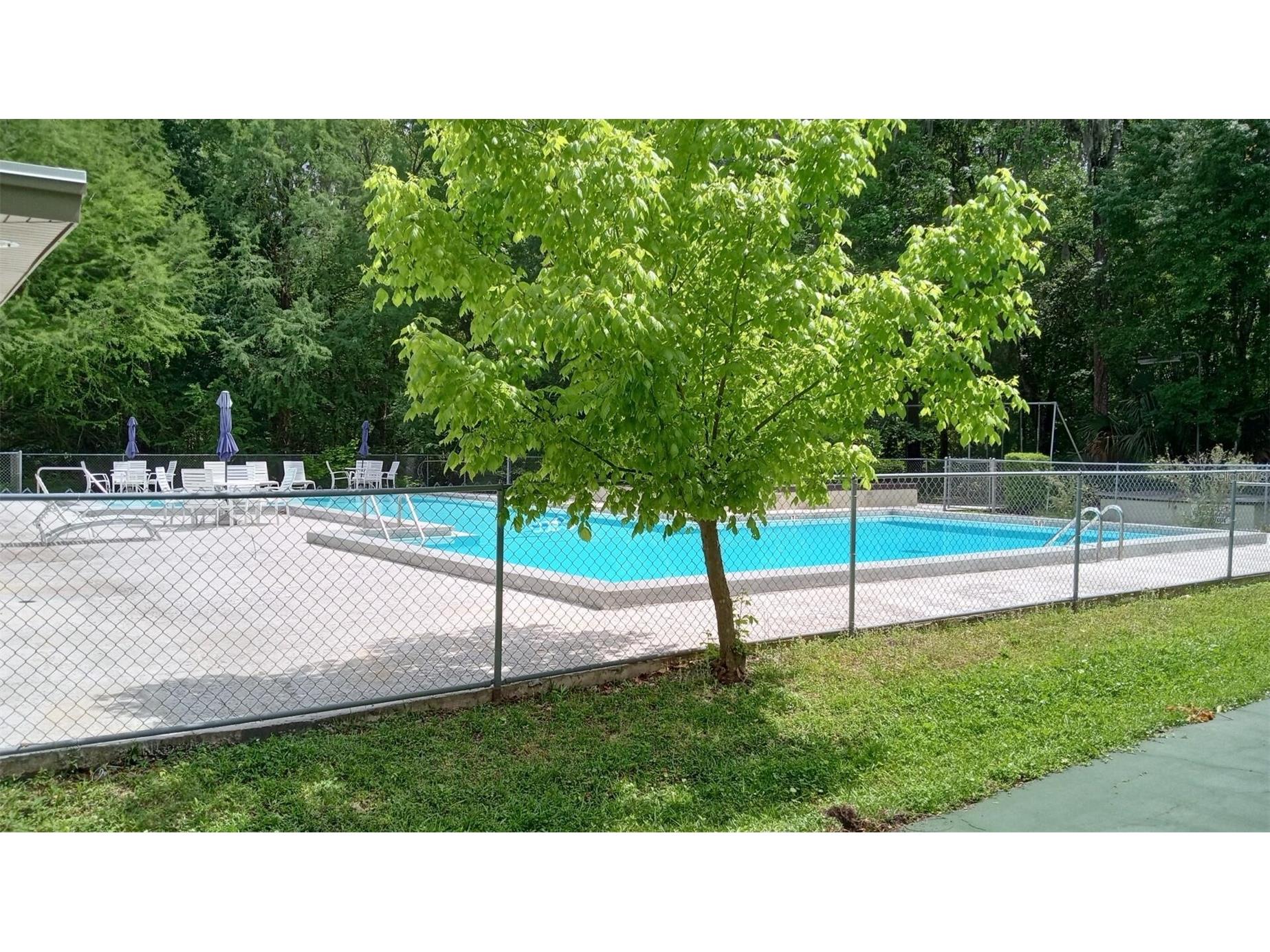 1719 NW 23rd Avenue #4A Gainesville FL 32605 O6381777 image22