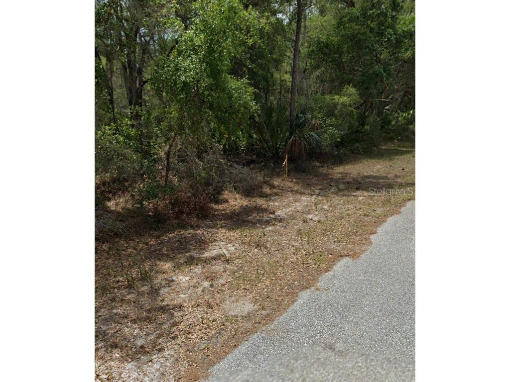 17191 Johns Avenue Port Charlotte FL 33948 T3469838 image1