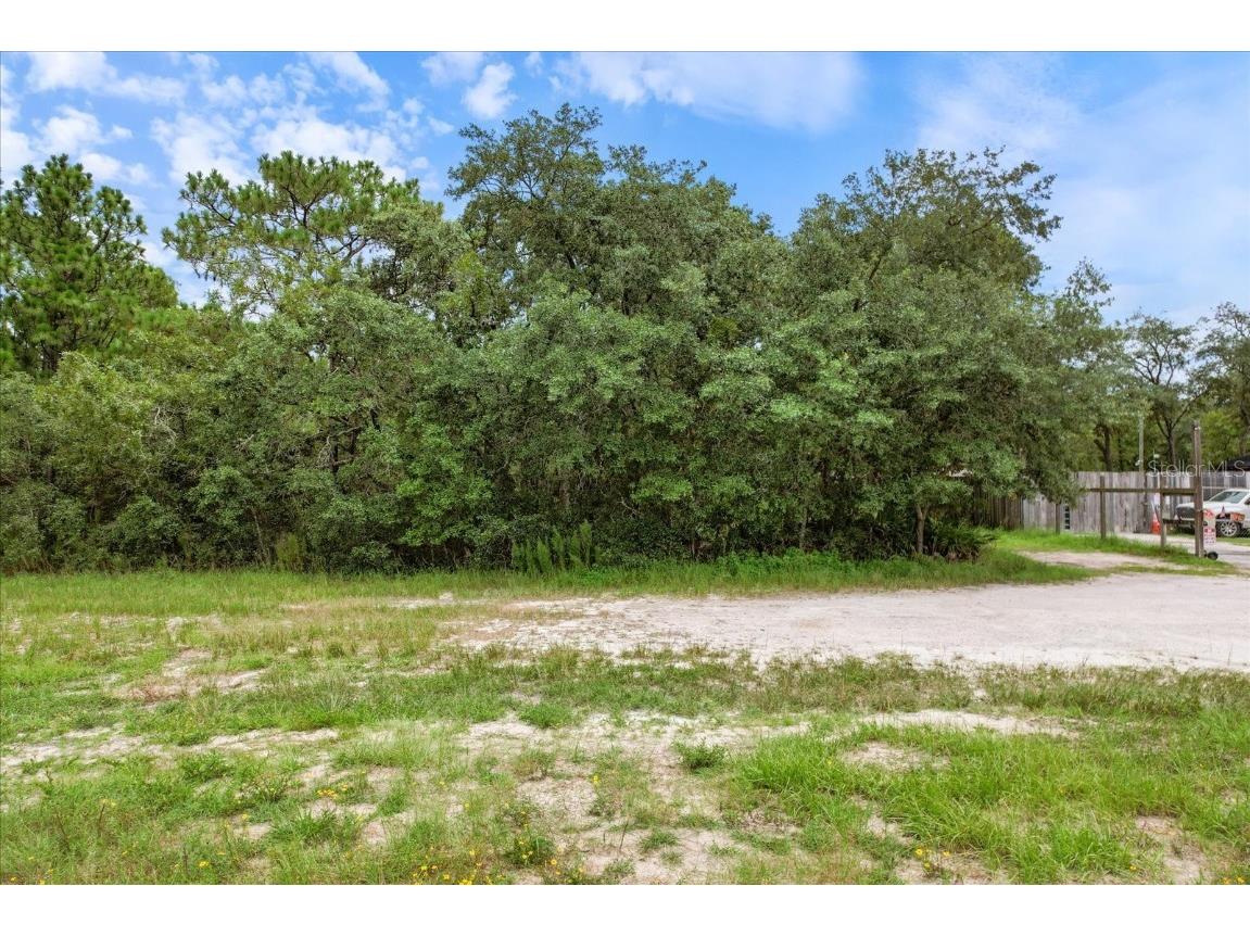 17192 Nicasio Jay Avenue Brooksville FL 34614 OM704256 image10