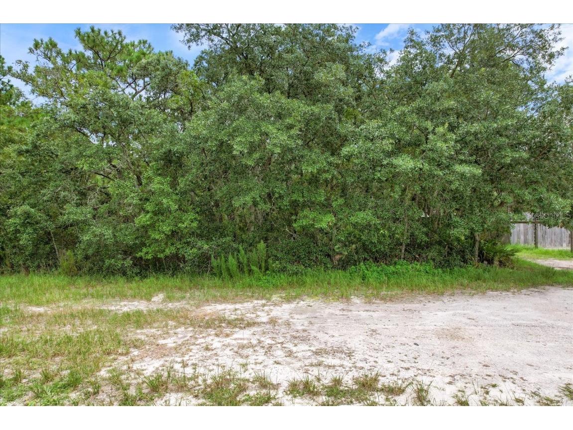 17192 Nicasio Jay Avenue Brooksville FL 34614 OM704256 image11