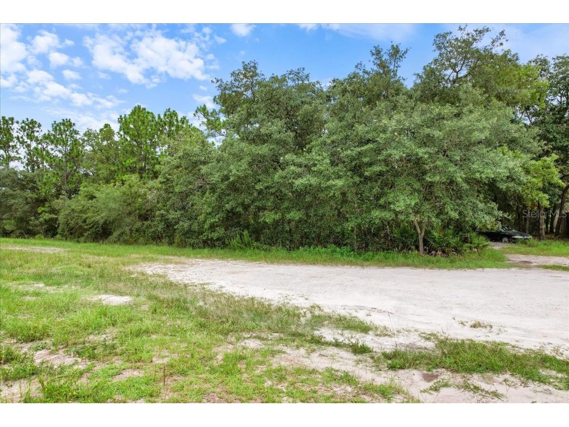 17192 Nicasio Jay Avenue Brooksville FL 34614 OM704256 image12