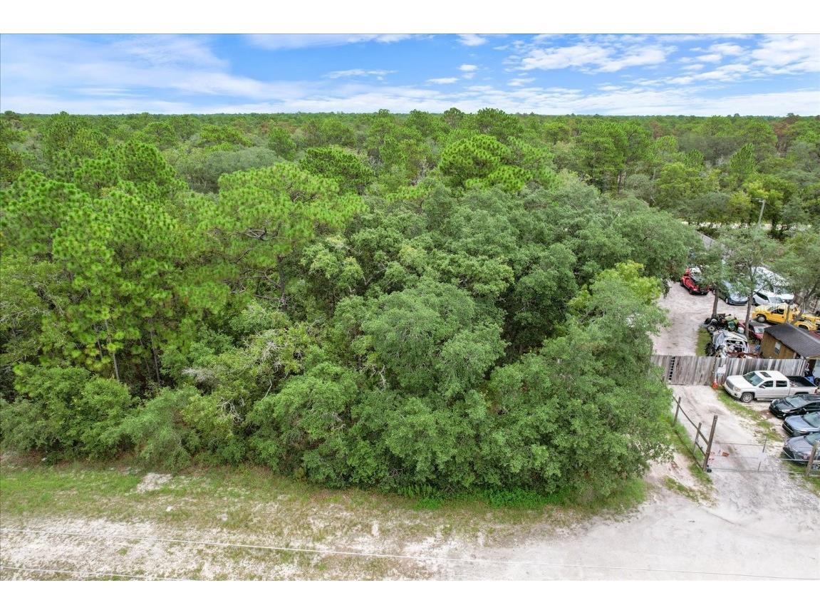 17192 Nicasio Jay Avenue Brooksville FL 34614 OM704256 image13