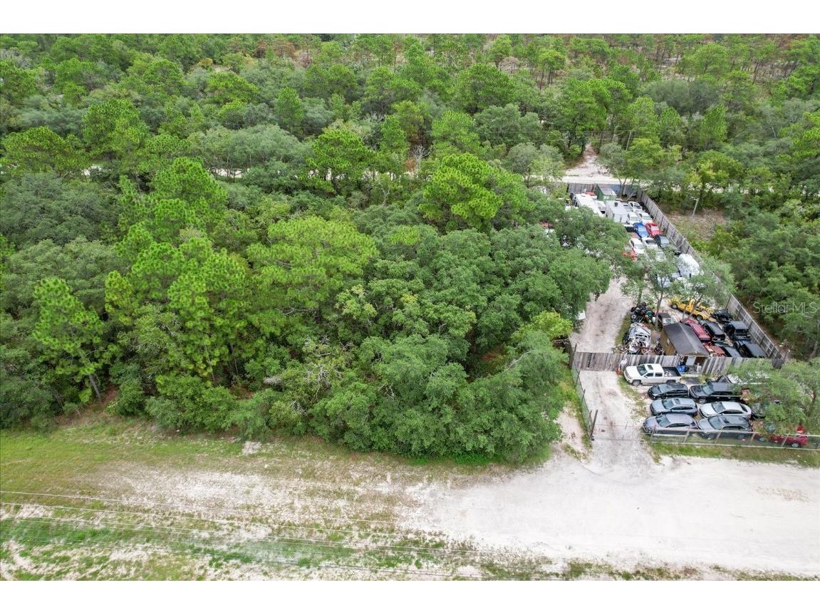 17192 Nicasio Jay Avenue Brooksville FL 34614 OM704256 image14