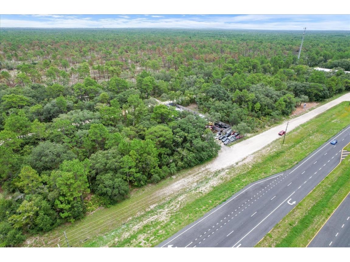 17192 Nicasio Jay Avenue Brooksville FL 34614 OM704256 image16