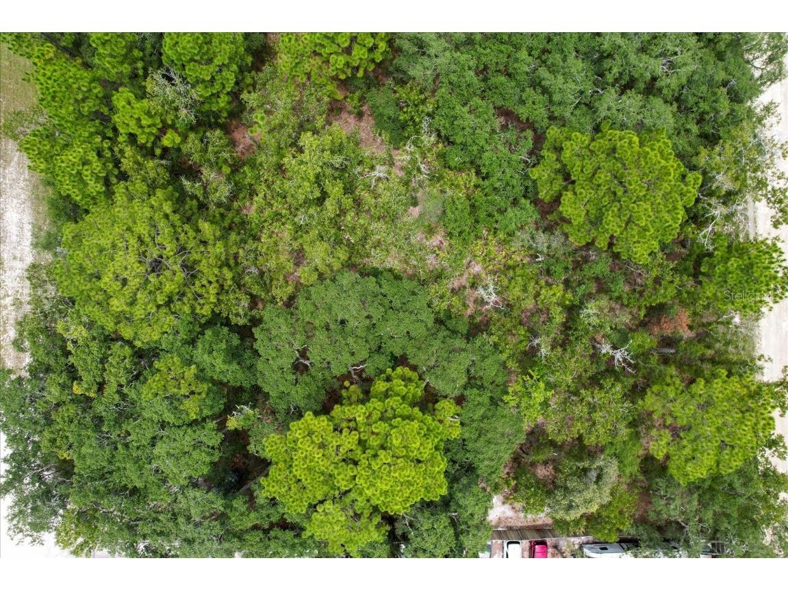 17192 Nicasio Jay Avenue Brooksville FL 34614 OM704256 image5