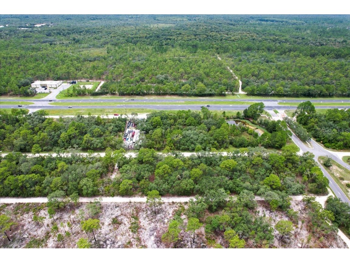 17192 Nicasio Jay Avenue Brooksville FL 34614 OM704256 image7