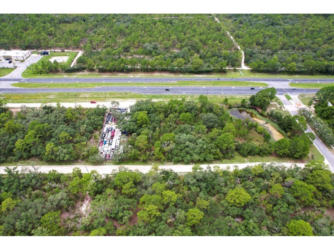 17192 Nicasio Jay Avenue Brooksville FL 34614 OM704256 image8