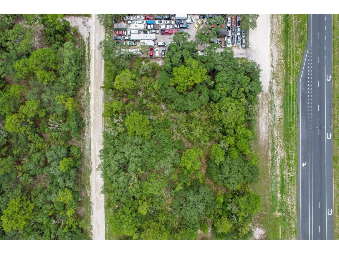 17192 Nicasio Jay Avenue Brooksville FL 34614 OM704256 image9