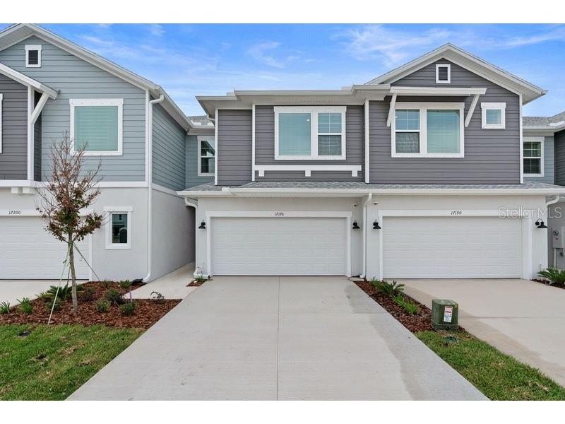 17196 Balance Cove Land O Lakes FL 34638 T3444420 image1