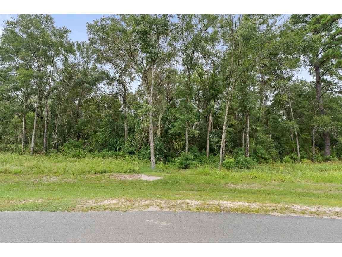 17197 SW 11 Court Newberry FL 32669 GC526126 image6