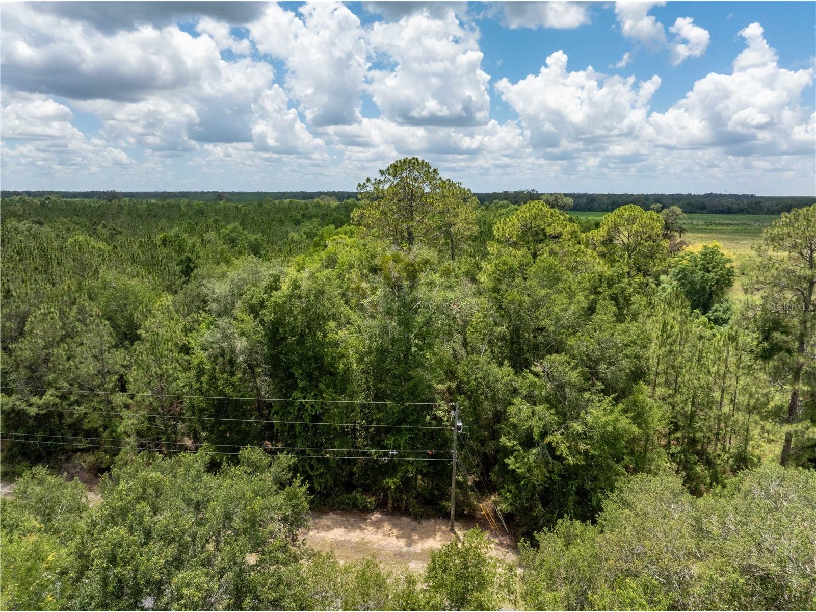 17198 SW State Road 47 Fort White FL 32038 GC541660 image1