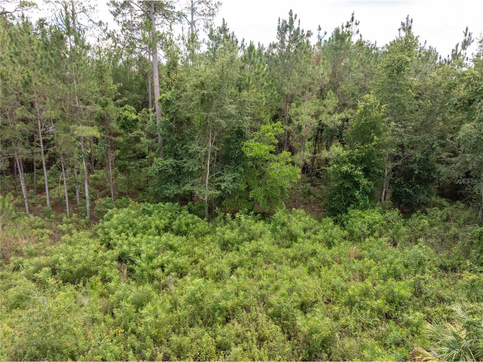 17198 SW State Road 47 Fort White FL 32038 GC541660 image11