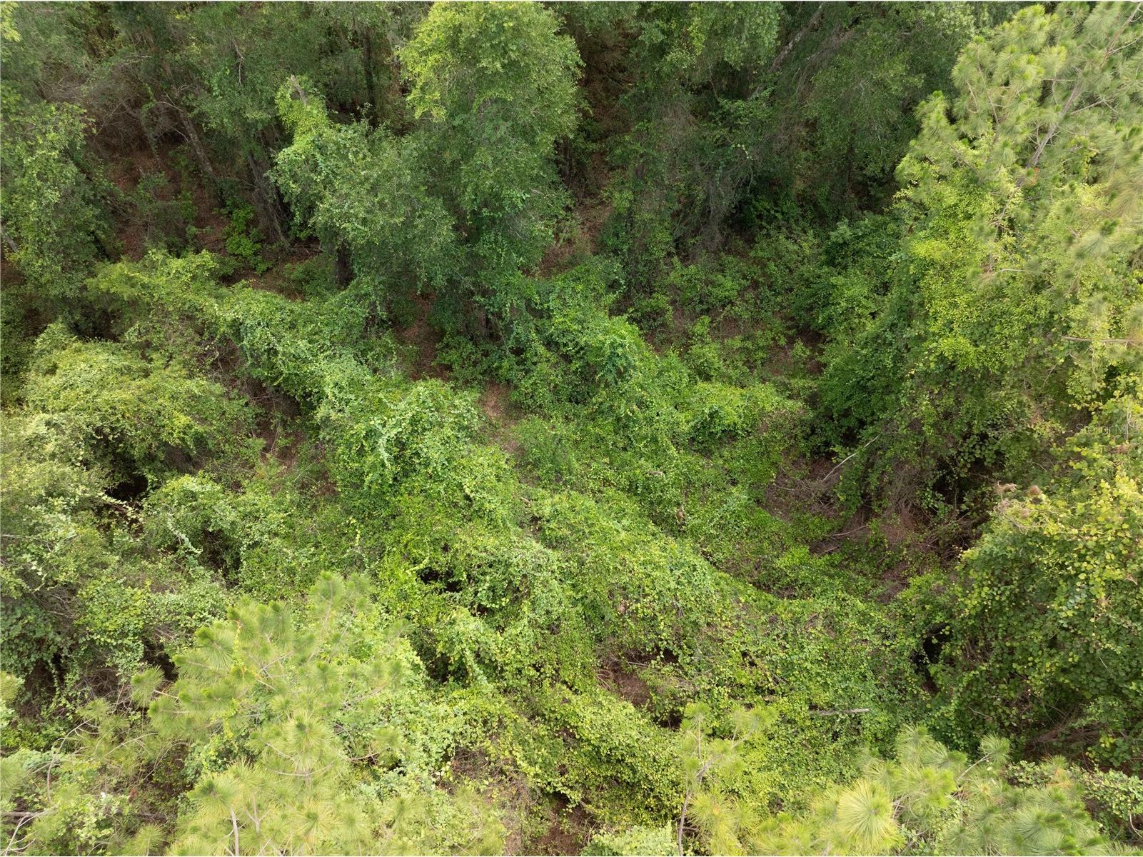 17198 SW State Road 47 Fort White FL 32038 GC541660 image12