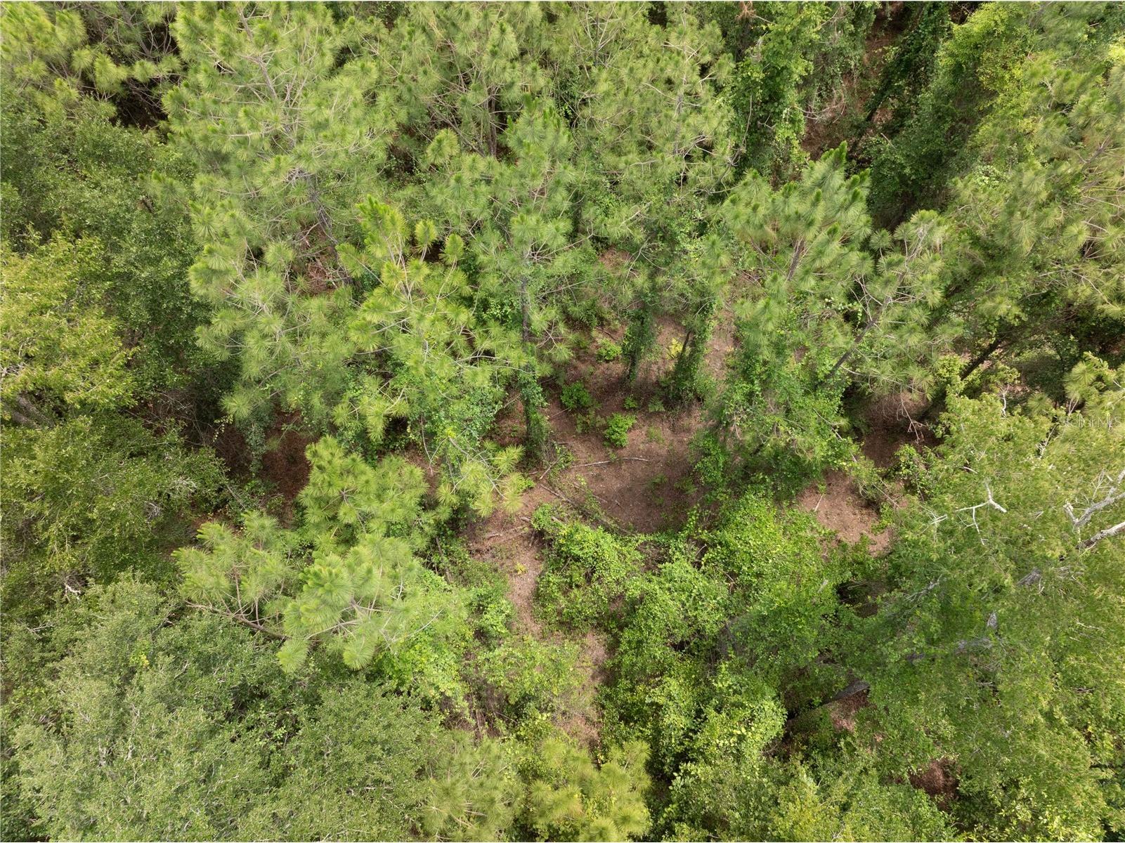 17198 SW State Road 47 Fort White FL 32038 GC541660 image13