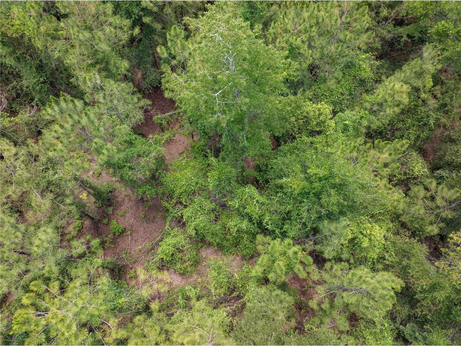 17198 SW State Road 47 Fort White FL 32038 GC541660 image15