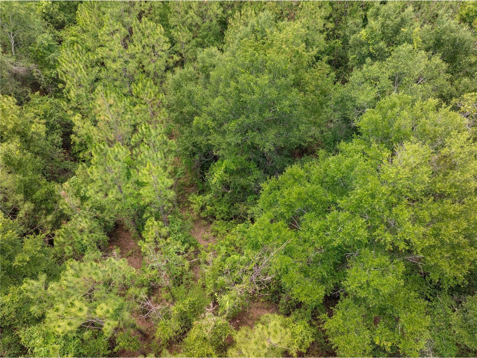 17198 SW State Road 47 Fort White FL 32038 GC541660 image16