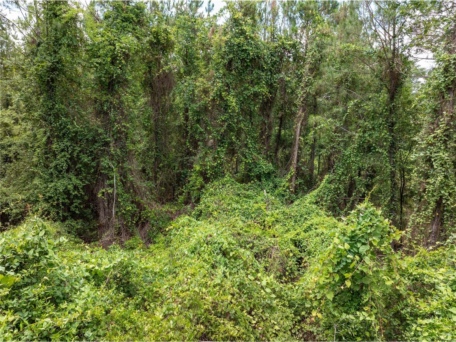 17198 SW State Road 47 Fort White FL 32038 GC541660 image17