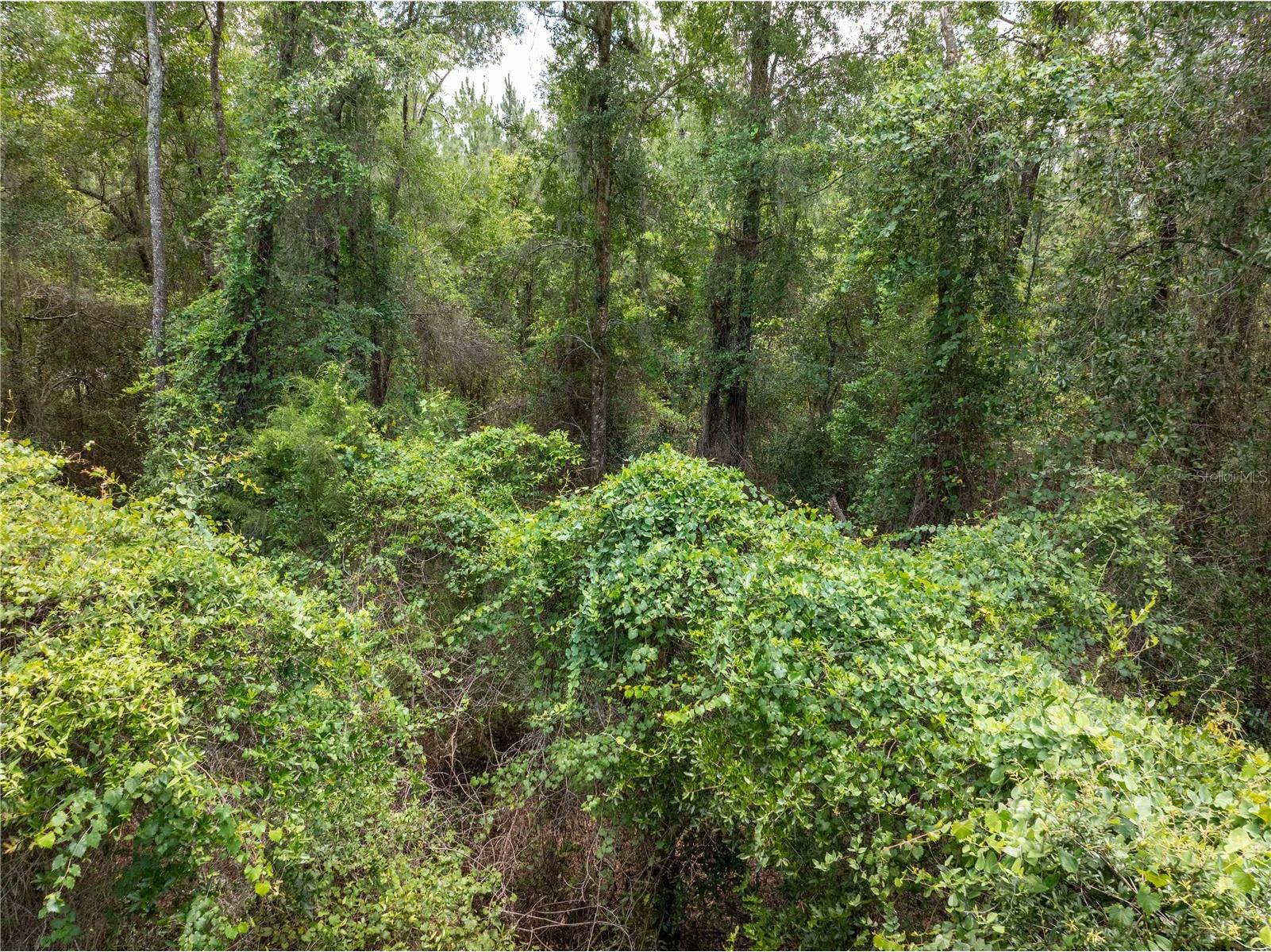 17198 SW State Road 47 Fort White FL 32038 GC541660 image18