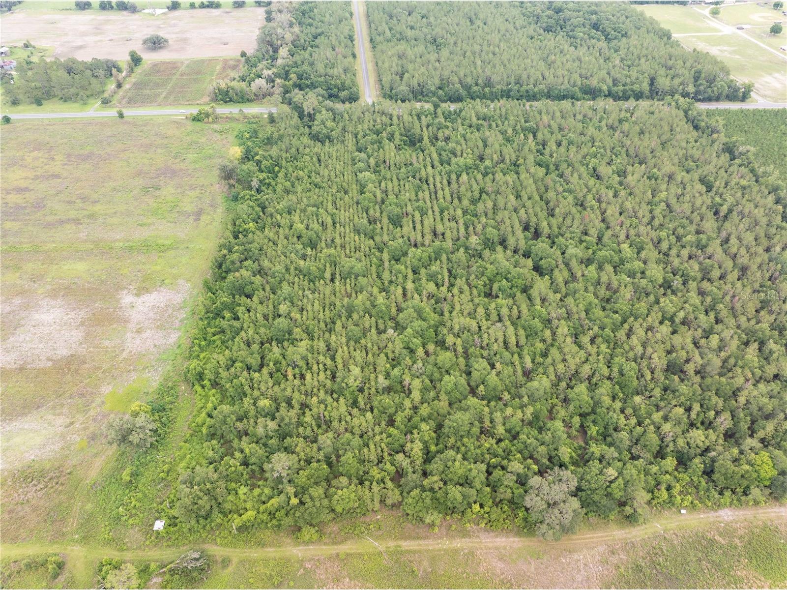 17198 SW State Road 47 Fort White FL 32038 GC541660 image7