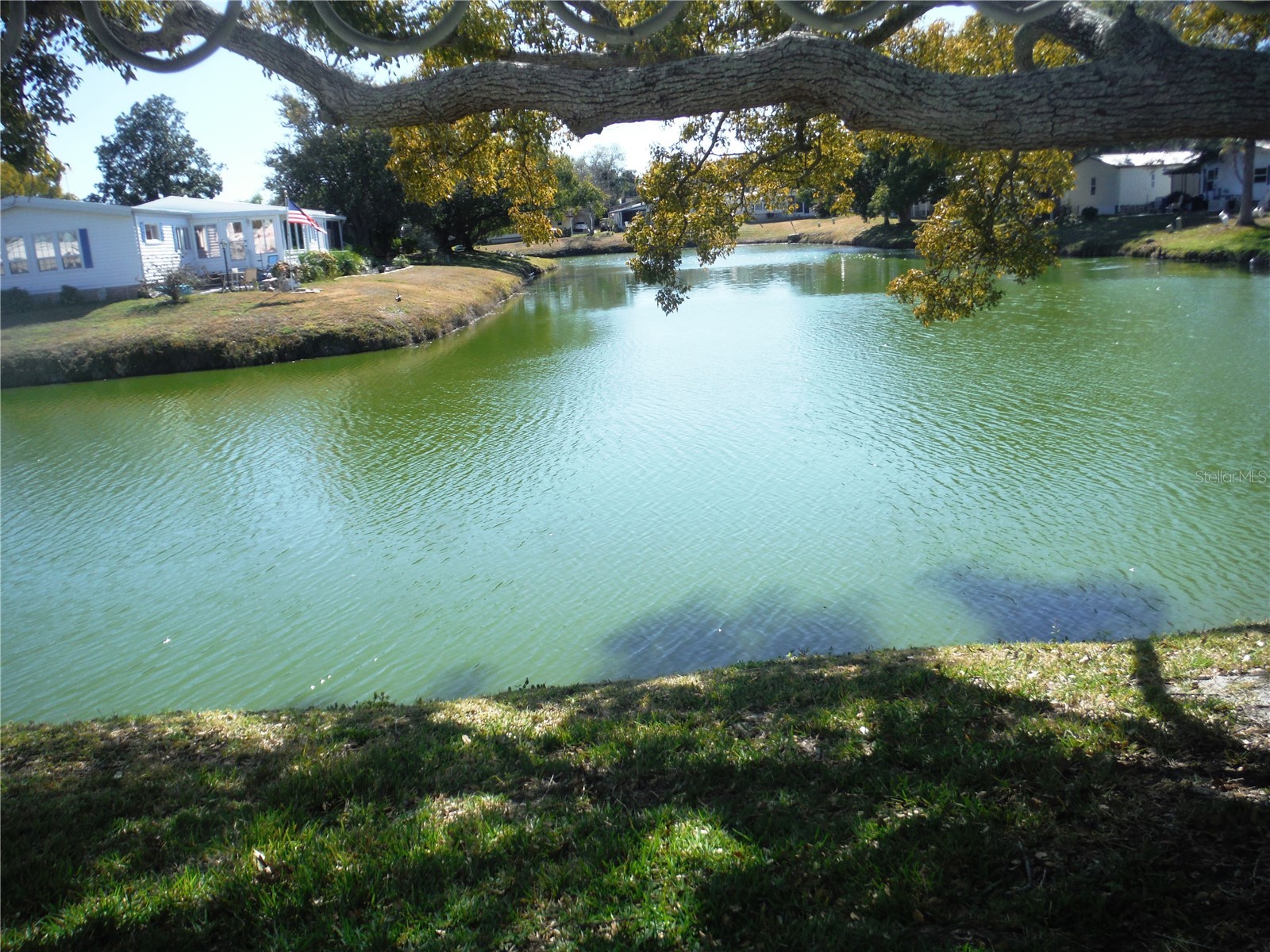 172 Clubview Drive #5 Safety Harbor FL 34695 TB8473246 image1