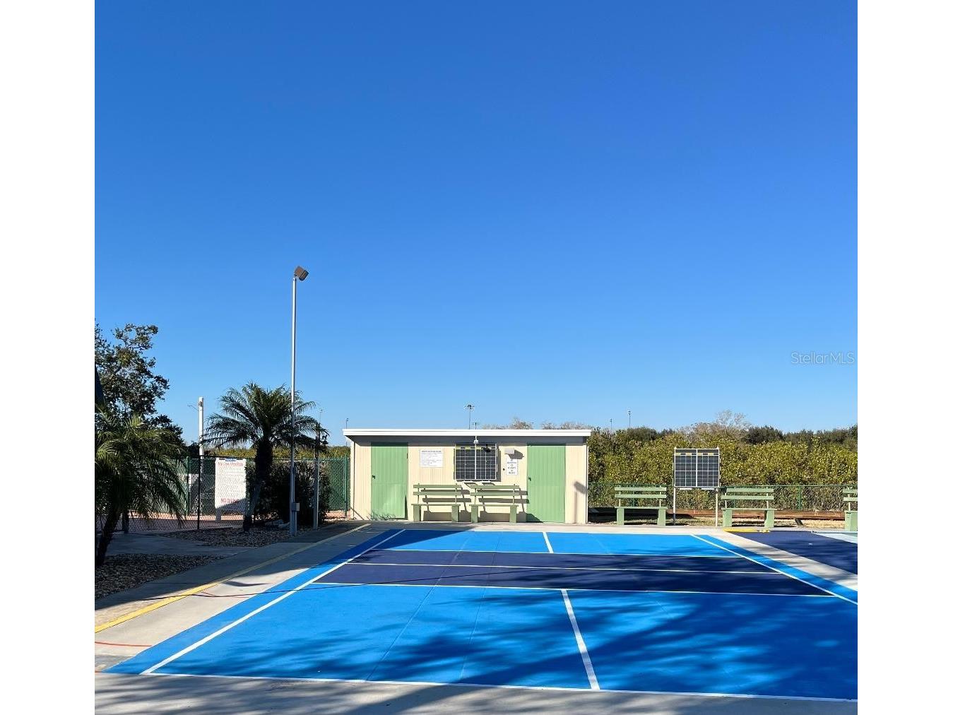 172 Clubview Drive #5 Safety Harbor FL 34695 TB8473246 image25